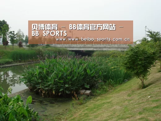 案例展示四(图1)