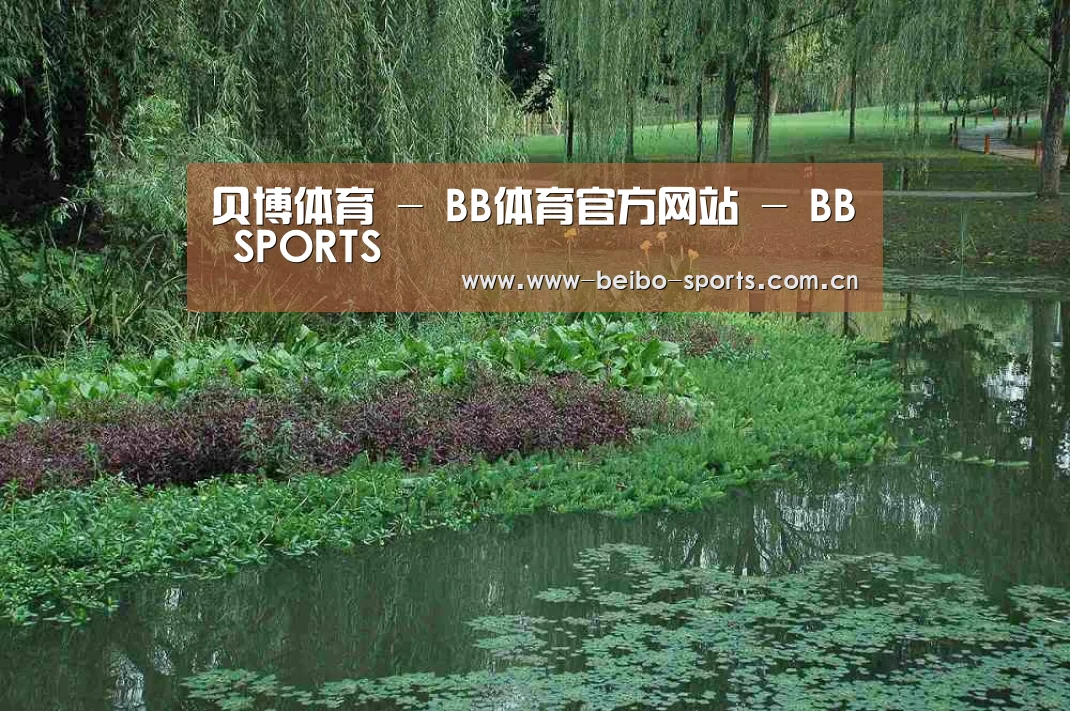 案例展示一(图1)