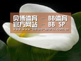 产品名称七
