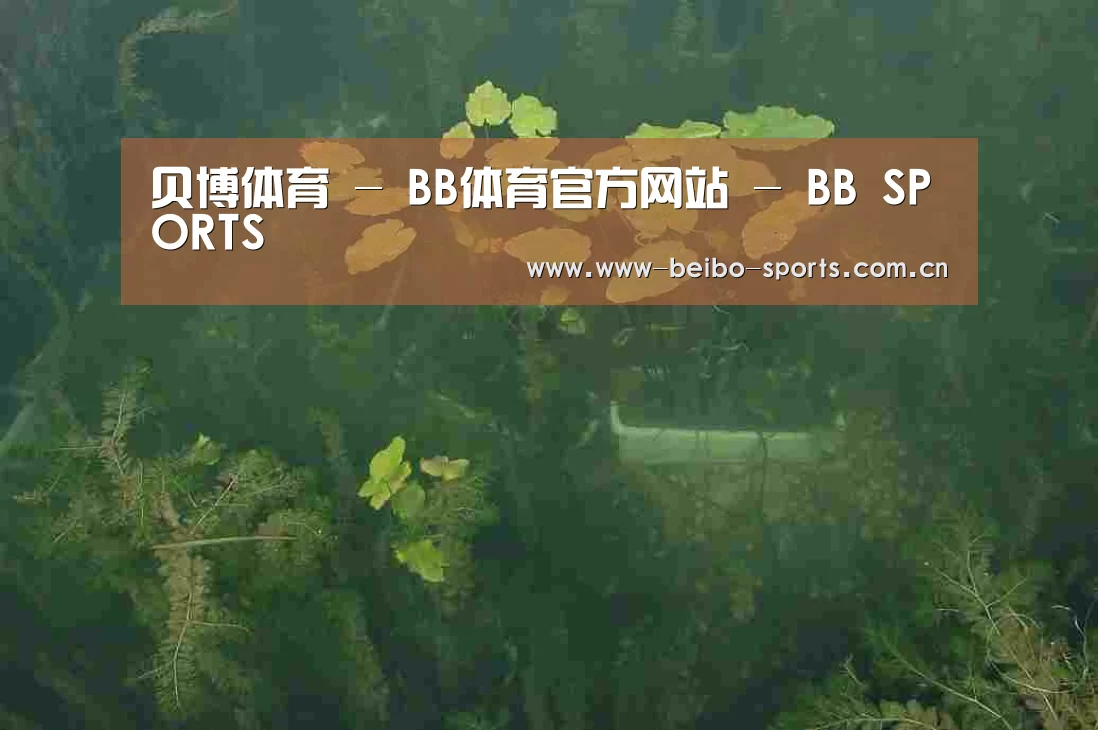 案例展示三