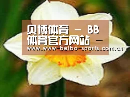 产品名称四
