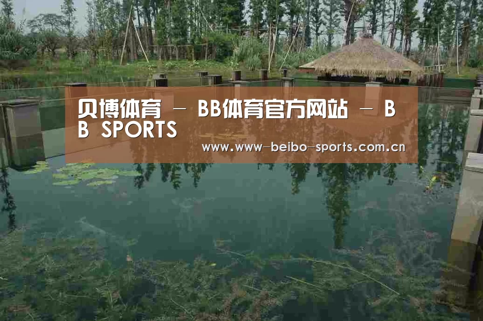 案例展示二